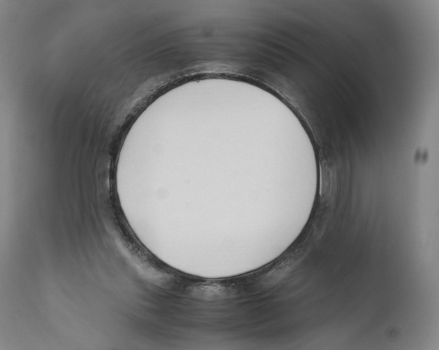 X0000110770253200907131240