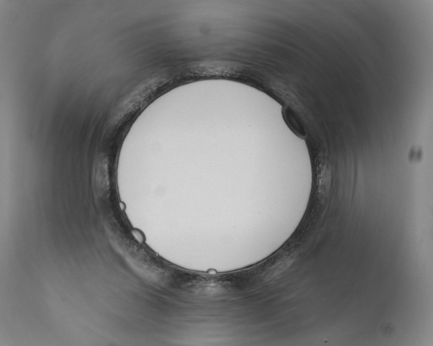 X0000110770254200907131240