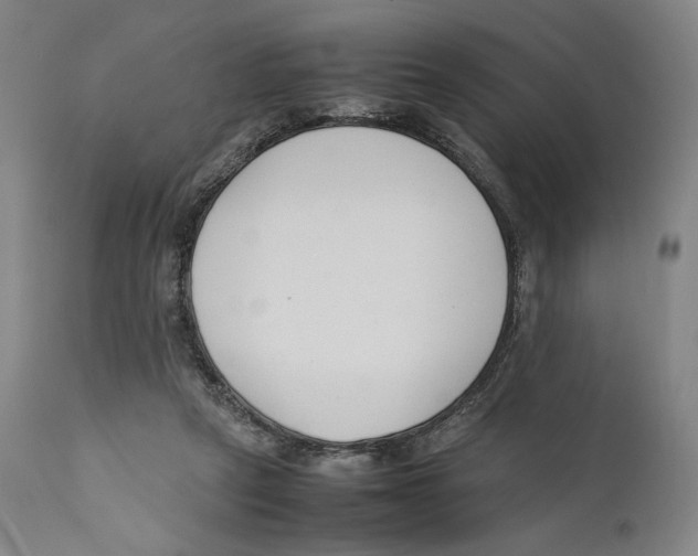 X0000110770257200907131240