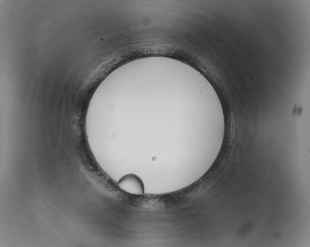 X0000110770258200907131240