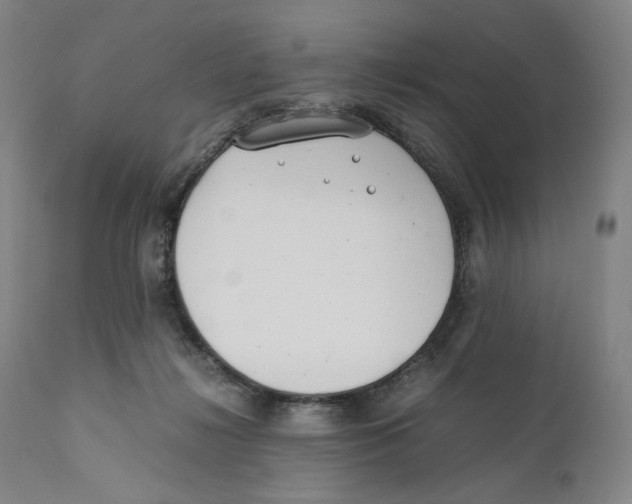 X0000110770268200907131240