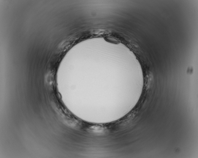 X0000110770272200907131241