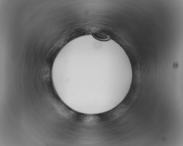 X0000110770274200907131241