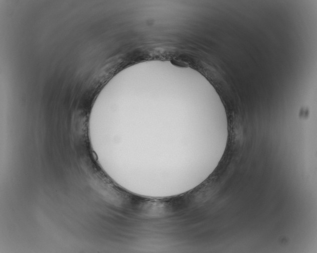 X0000110770276200907131241