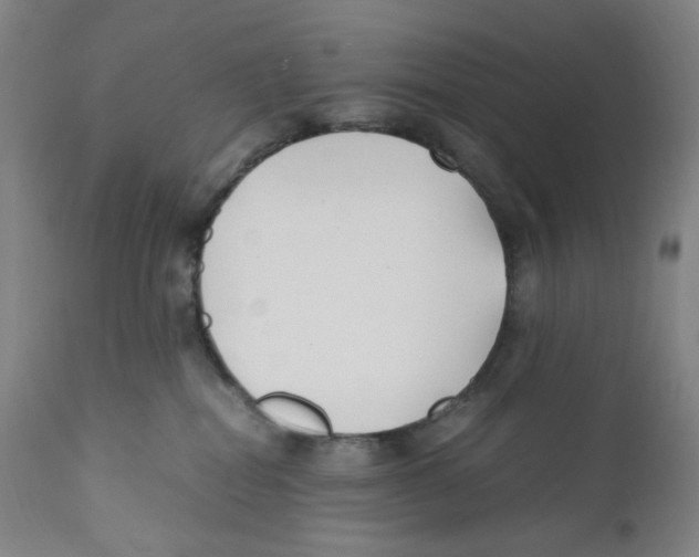 X0000110770282200907131241