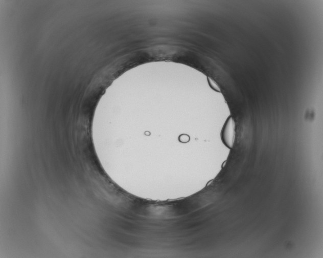 X0000110770283200907131241