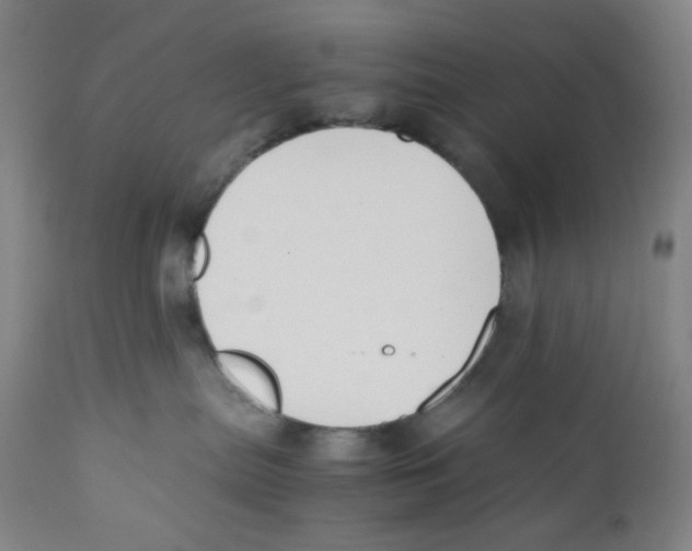 X0000110770287200907131241