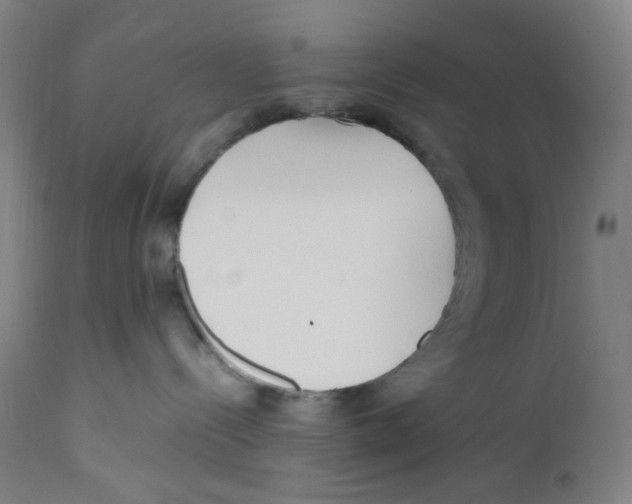 X0000110770288200907131241