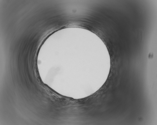 X0000110770289200907131240