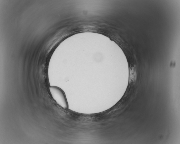 X0000110770291200907131240