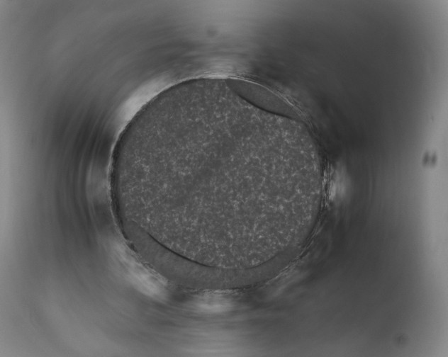 X0000110770292200907131240