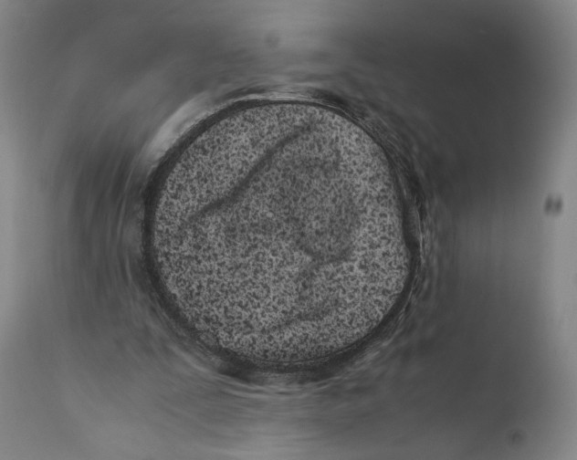 X0000110770295200907131240