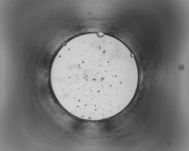 X0000110770297200907131240