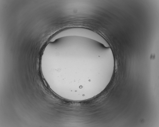 X0000110770301200907131240