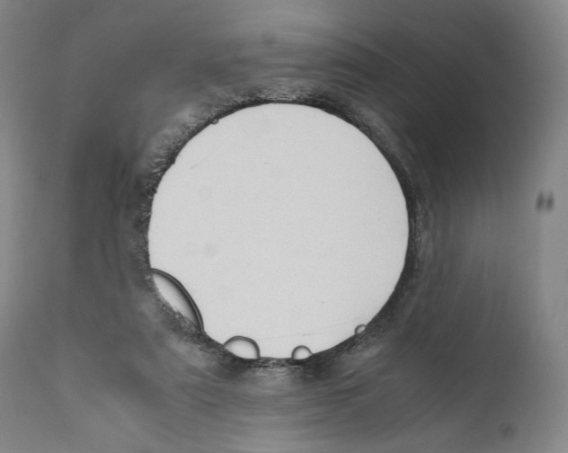 X0000110770307200907131240