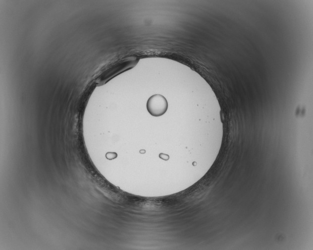 X0000110770308200907131240