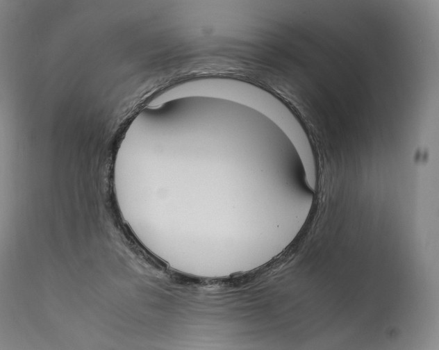 X0000110770309200907131240