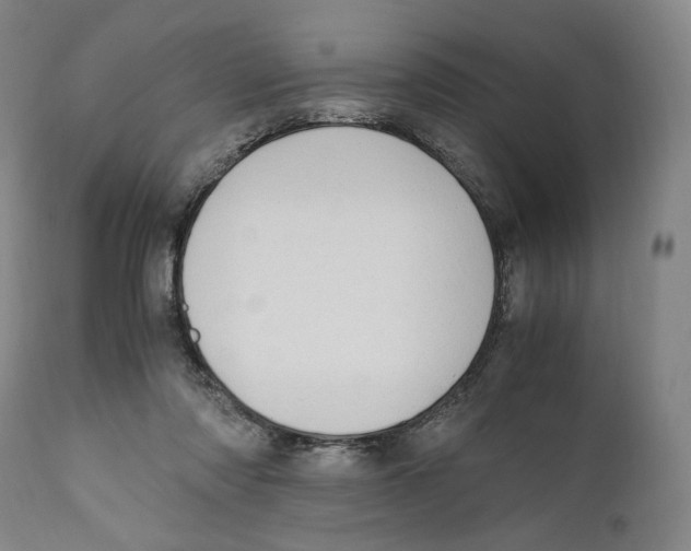 X0000110770310200907131240