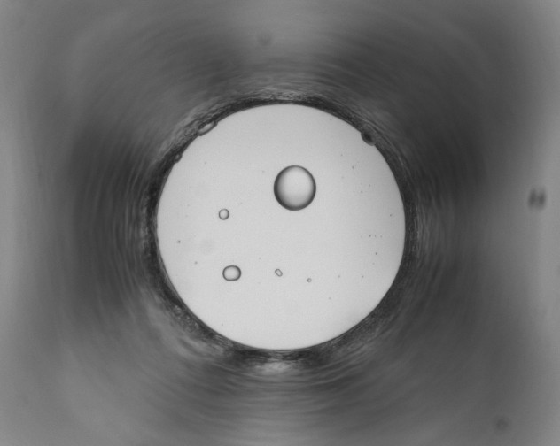 X0000110770312200907131240