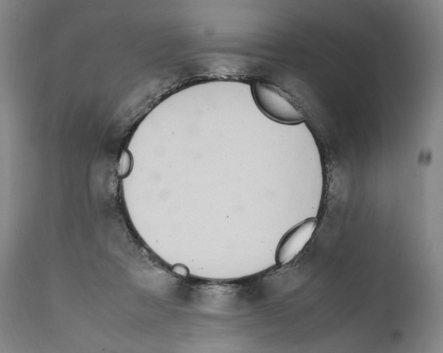 X0000110770313200907131240