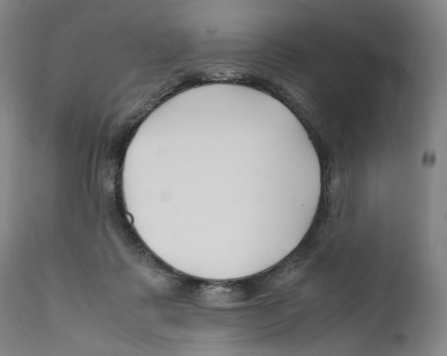 X0000110770315200907131240