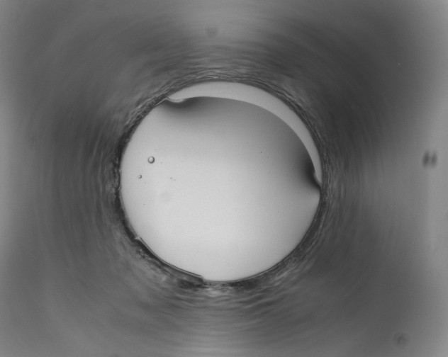 X0000110770317200907131240