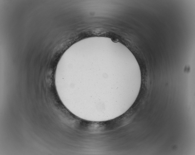 X0000110770319200907131240