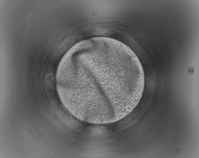 X0000110770322200907131239