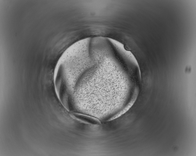 X0000110770325200907131239