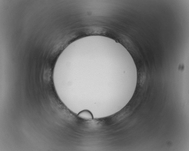 X0000110770326200907131239