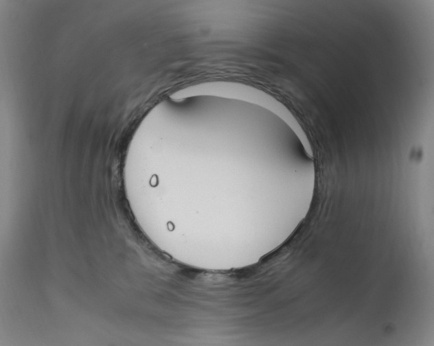 X0000110770327200907131239