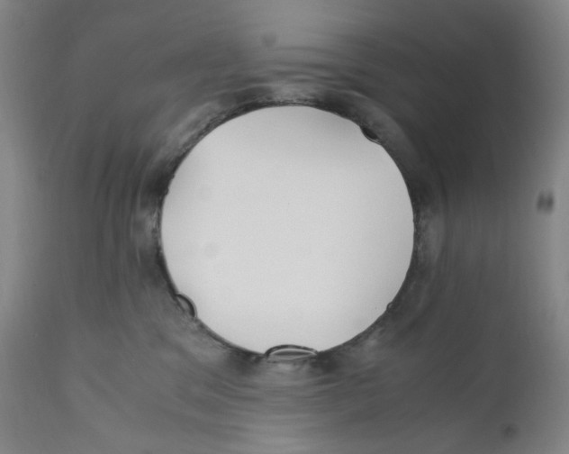 X0000110770329200907131239