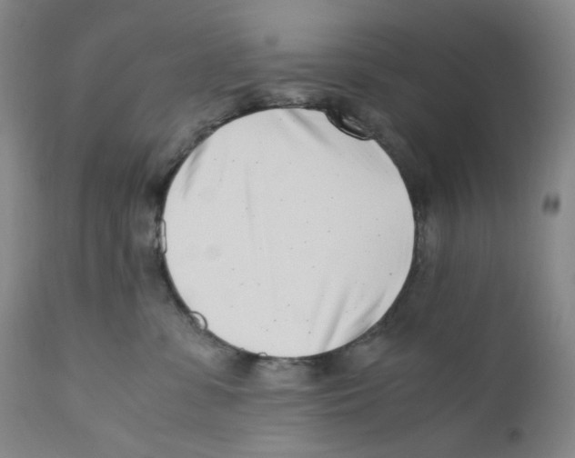 X0000110770331200907131239