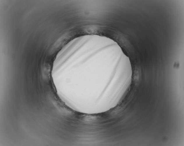 X0000110770332200907131239