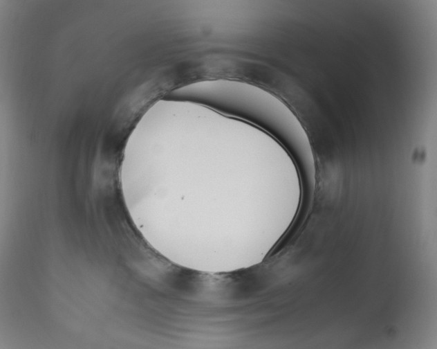 X0000110770333200907131239