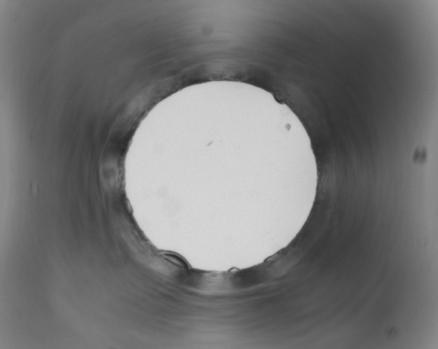 X0000110770335200907131239