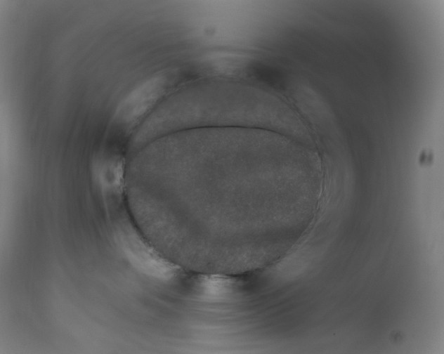 X0000110770336200907131239