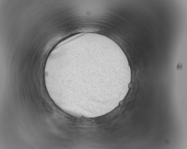 X0000110770337200907131239