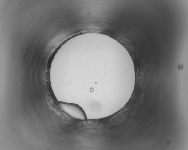 X0000110770338200907131239