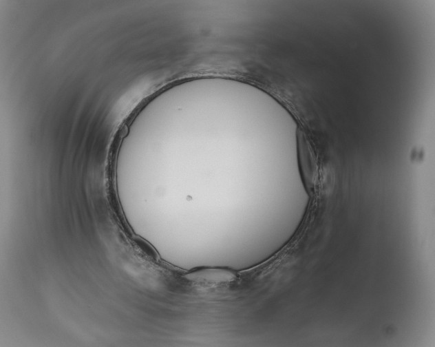 X0000110770340200907131239