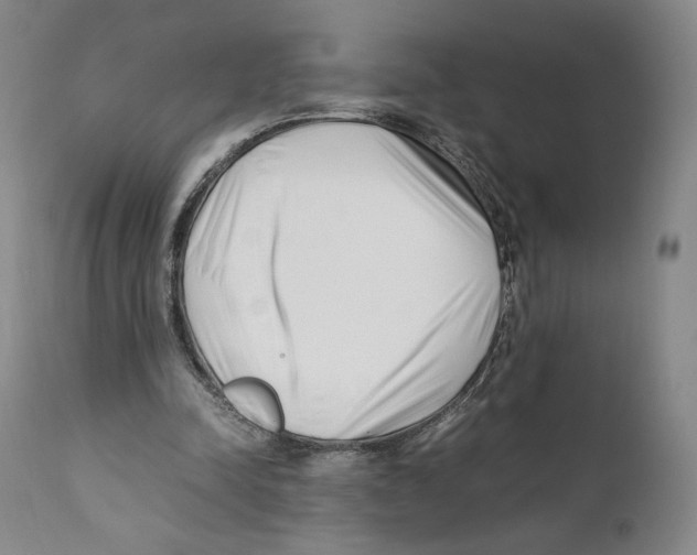 X0000110770342200907131239