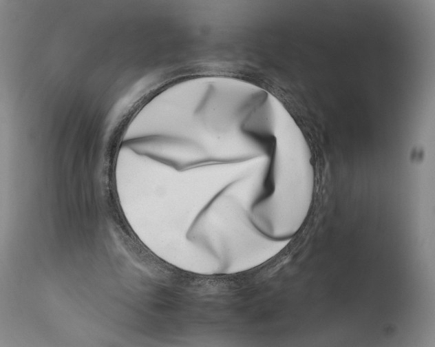 X0000110770343200907131239