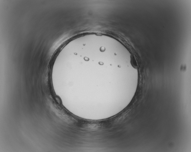 X0000110770344200907131239