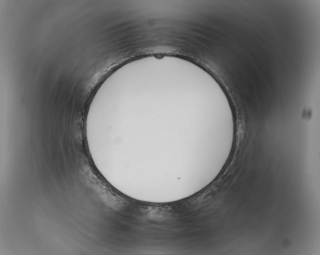 X0000110770345200907131239