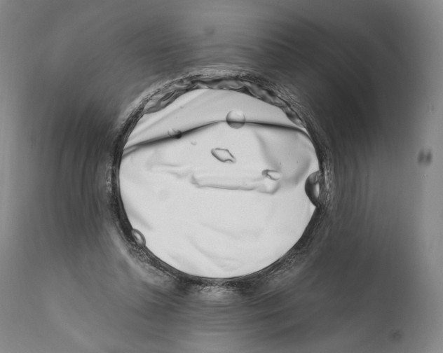 X0000110770348200907131239