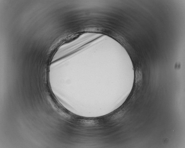 X0000110770349200907131239