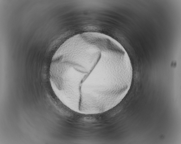 X0000110770353200907131239