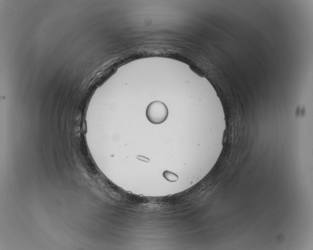 X0000110770356200907131239