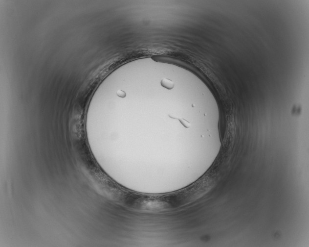 X0000110770360200907131239