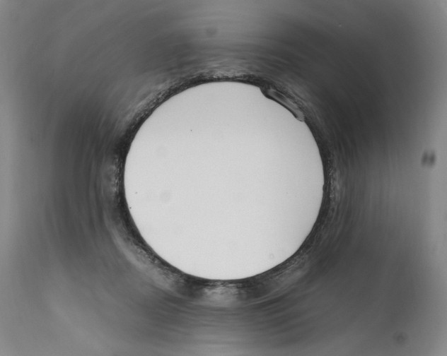 X0000110770362200907131239